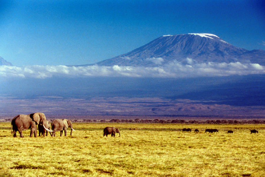 La Déclaration de Kilimandjaro