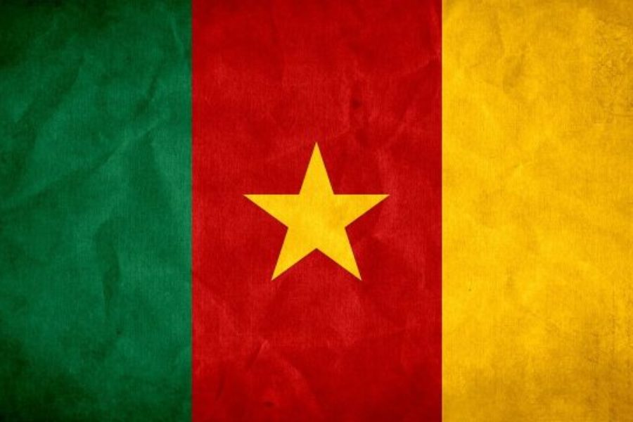 Cameroon Fact-Finding Mission Report Statement