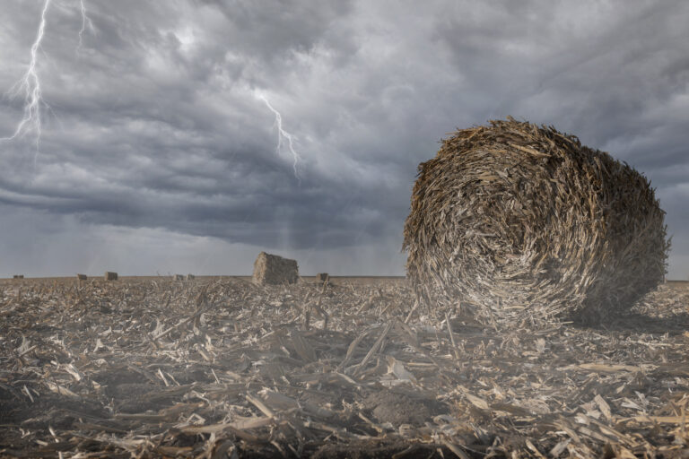 Soutien aux Africains déplacés par le cyclone Freddy