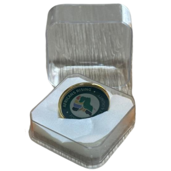Lapel Pin