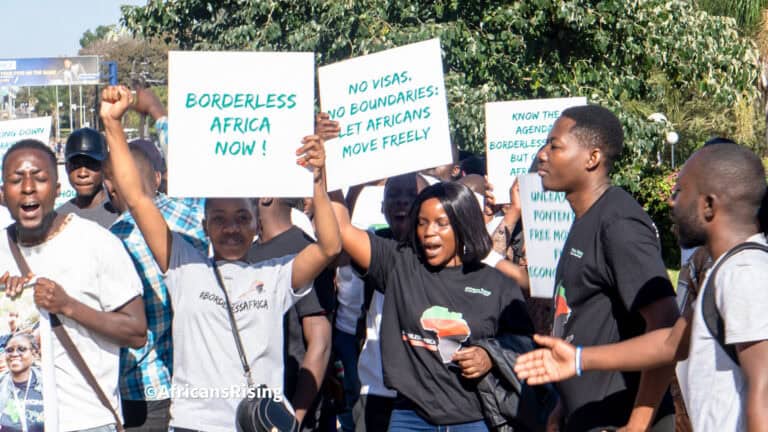 Group of diverse protesters holding signs reading 'Borderless Africa Now' during a rally outdoors.